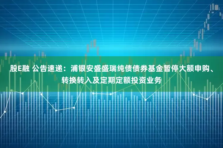 股E融 公告速递：浦银安盛盛瑞纯债债券基金暂停大额申购、转换转入及定期定额投资业务